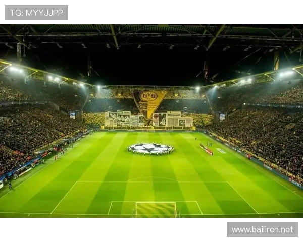 德甲球队的球场与球迷体验的结合